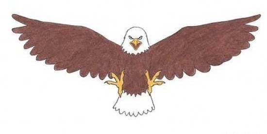 عکس نقاشی عقاب کودکانه ساده