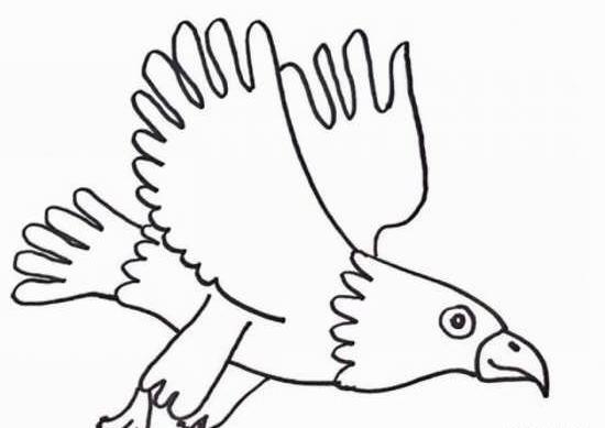 عکس نقاشی کودکانه عقاب و خفاش