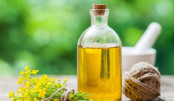 عکس نقاشی غذای سالم و روغن سالم