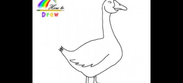 عکس نقاشی غاز در آب