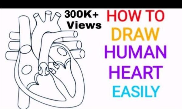 عکس نقاشی قلب انسان