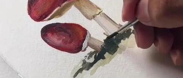 عکس نقاشی قارچ با دست
