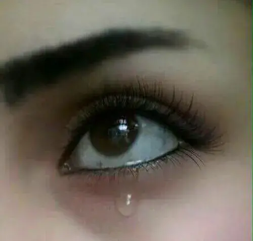 عکس نوشته منو اذیت نکنید من کسیو ندارم پشتم باشه