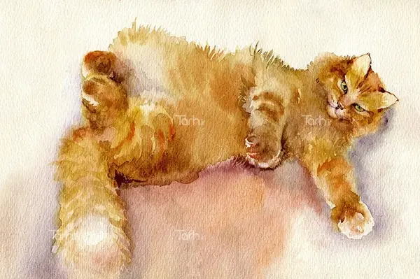 عکس نقاشی گربه پشمالو