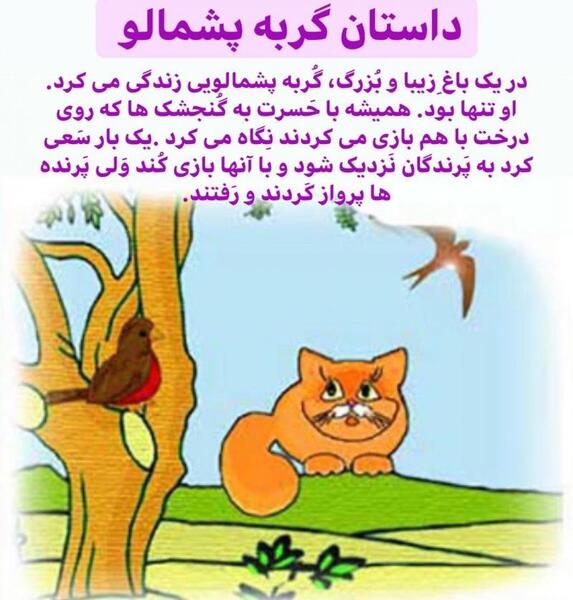 عکس نقاشی گربه پشمالو