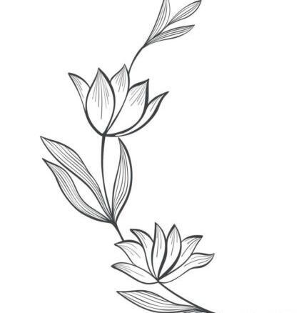 عکس نقاشی گل ساده و آسان