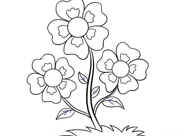 عکس نقاشی گل ساده طراحی