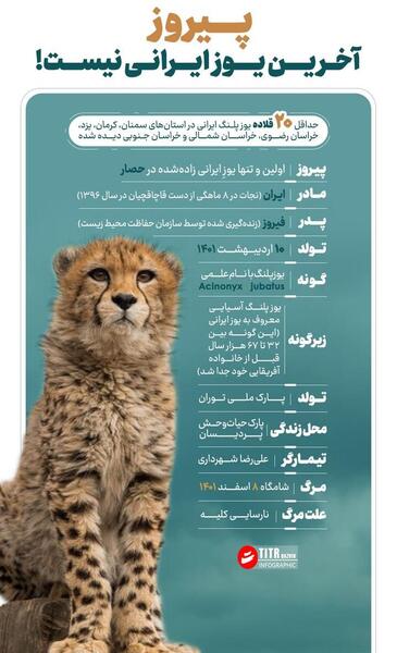 عکس مادر پیروز