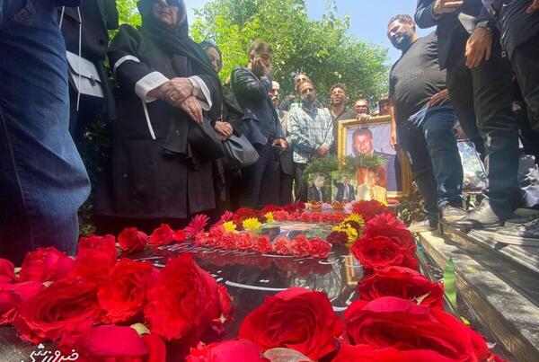 عکس نوشته من آن گلبرگ مغرورم که میمیرم ز بی آبی