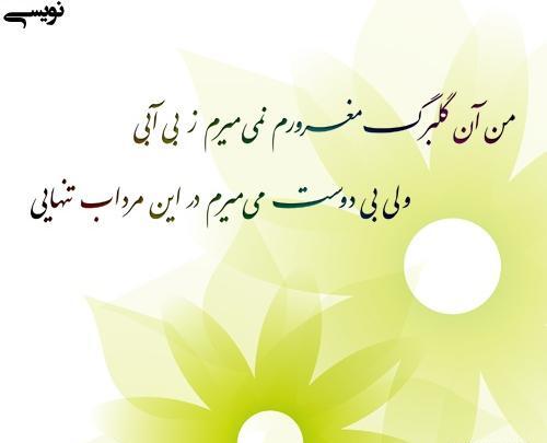 عکس نوشته من همان گلبرگ مغرورم