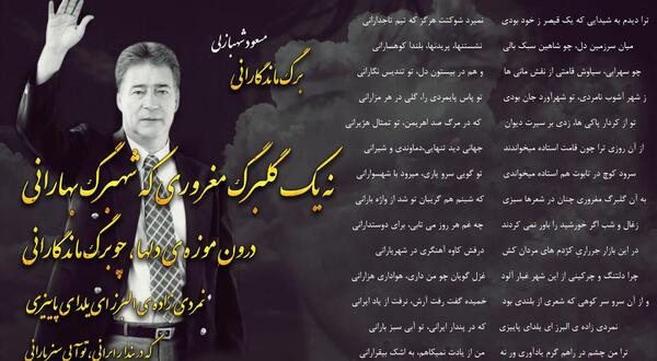 عکس نوشته من همان گلبرگ مغرورم