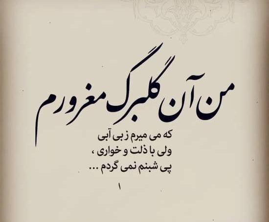 عکس نوشته من همان گلبرگ مغرورم