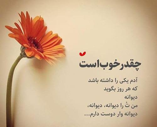 عکس نوشته منطقی و فلسفی