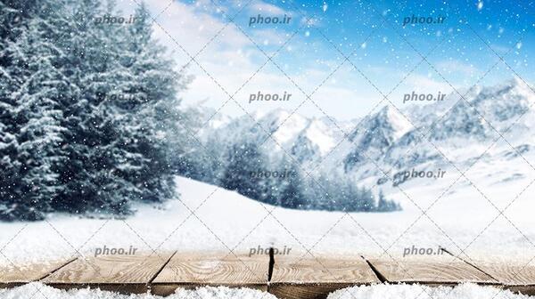 عکس زیبای برف