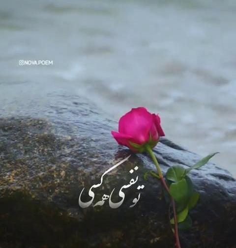 عکس نوشته خوشا راهی که پایانش تو باشی