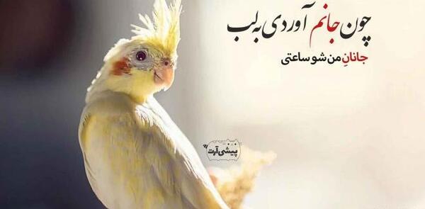عکس نوشته خوشا آن دل که دلدارش تو باشی