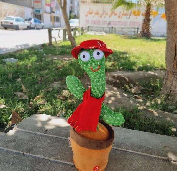عکس عروسک سخنگو کاکتوس
