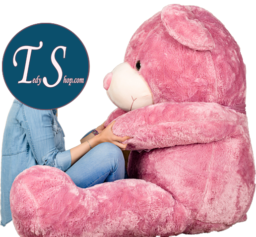 عکس عروسک خرس شاسخین