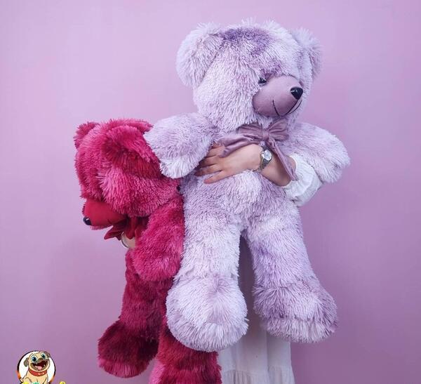 عکس عروسک خرس شاسخین