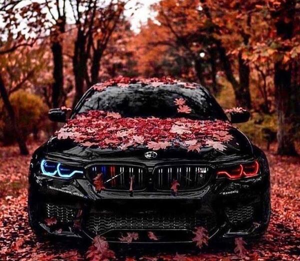عکس ماشین متالیک