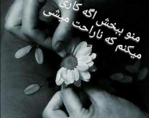 عکس نوشته متاسفم منو ببخش متشکرم دوستت دارم