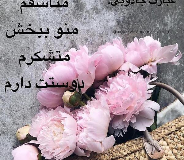 عکس نوشته متاسفم منو ببخش متشکرم دوستت دارم
