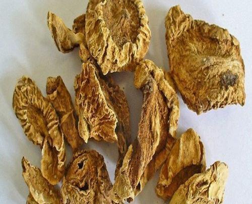 عکس گیاه پنجه ی شیطان