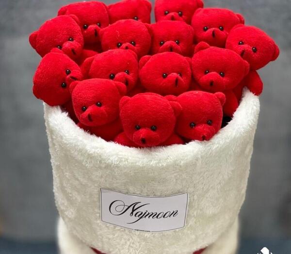 عکس عروسک برای ولنتاین