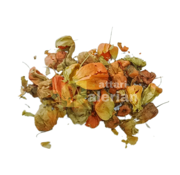 عکس گل عروسک پشت پرده
