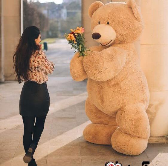 عکس عروسک گوگولی خرس