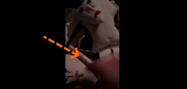 عکس عروسک طلسم شده بهرنگ علوی