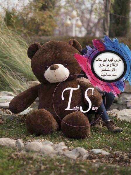 عکس عروسک خرسی قهوه ای