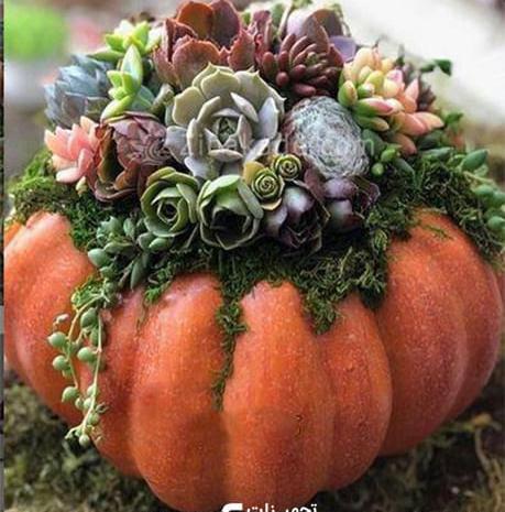 عکس ایده خاص برای شب یلدا