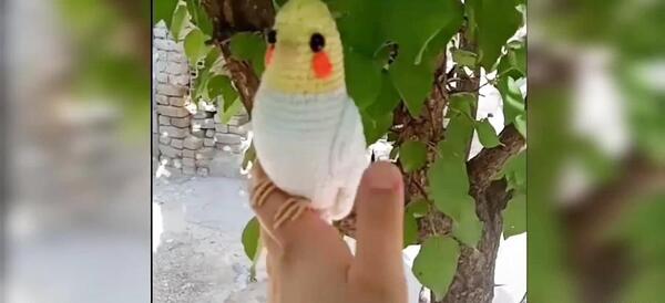 عکس عروسک بافتنی عروس هلندی