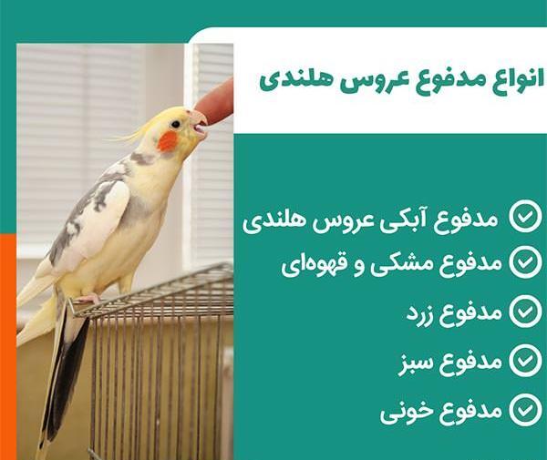 عکس عروس هلندی سیاه قلم