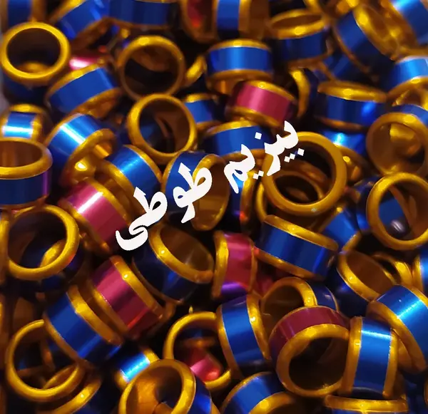 عکس حلقه پای عروس هلندی