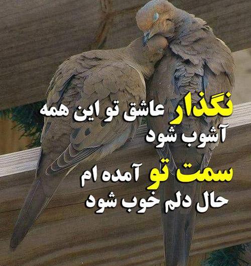 عکس دختر با عروس هلندی برای پروفایل