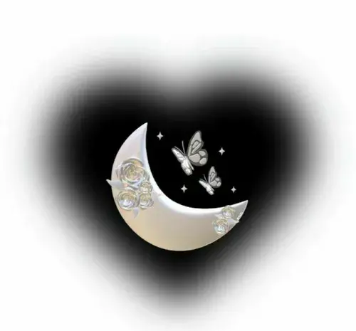 عکس ستاره برای هایلایت اینستا