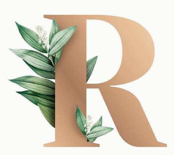 عکس روی صفحه به انگلیسی