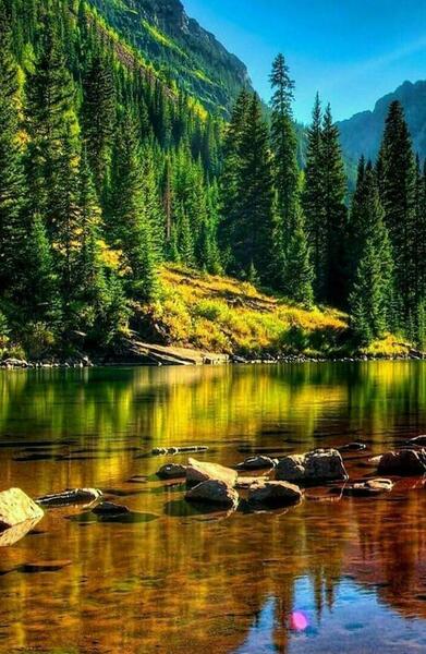 عکس صفحه پس زمینه گوشی