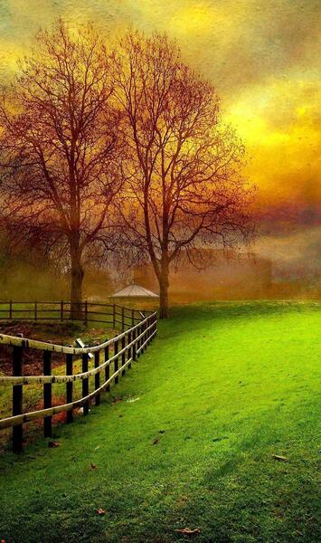 عکس برای صفحه تایپ گوشی