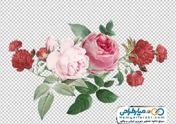 عکس های زیبا برای تزیین