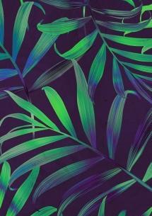 عکس صفحه رنگی سبز