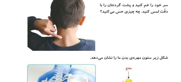 عکس صفحه ۴۱ علوم پنجم