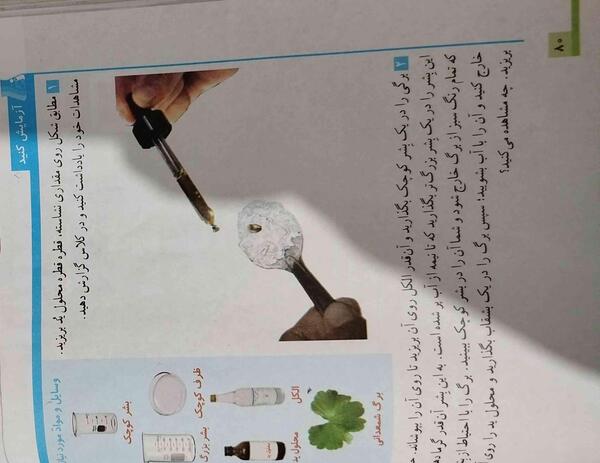 عکس صفحه ۸۰ علوم ششم