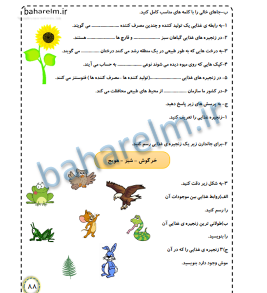 عکس صفحه ۷۴ علوم ششم