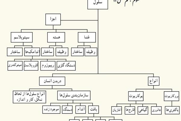 عکس صفحه ۱۰۰ علوم هفتم