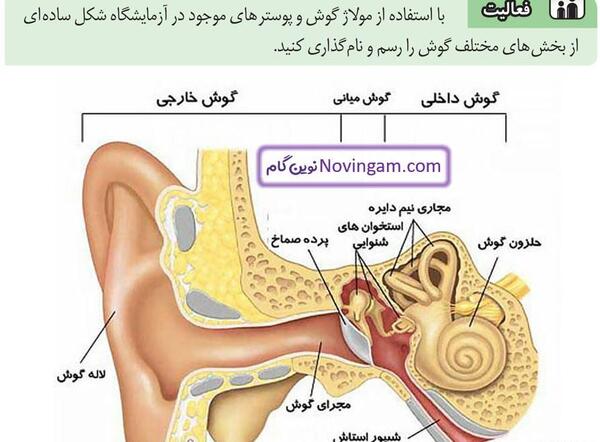 عکس صفحه ۳۷ علوم هفتم