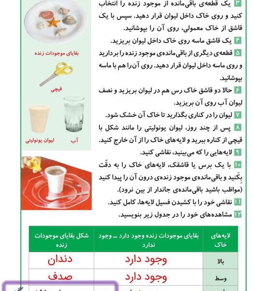 عکس صفحه ۳۱ علوم چهارم