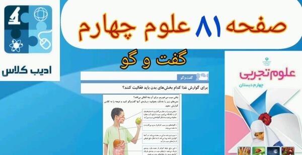 عکس صفحه ۸۱ علوم چهارم
